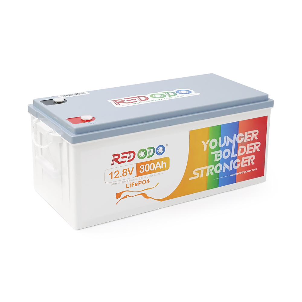 39222 Акумуляторна батарея LiFePO4 Redodo 12.8V 300Ah , 3840Wh, BMS 200A, 522*240*218мм - Зображення 1